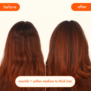 Amika Normcore Signature Shampoo 275ml